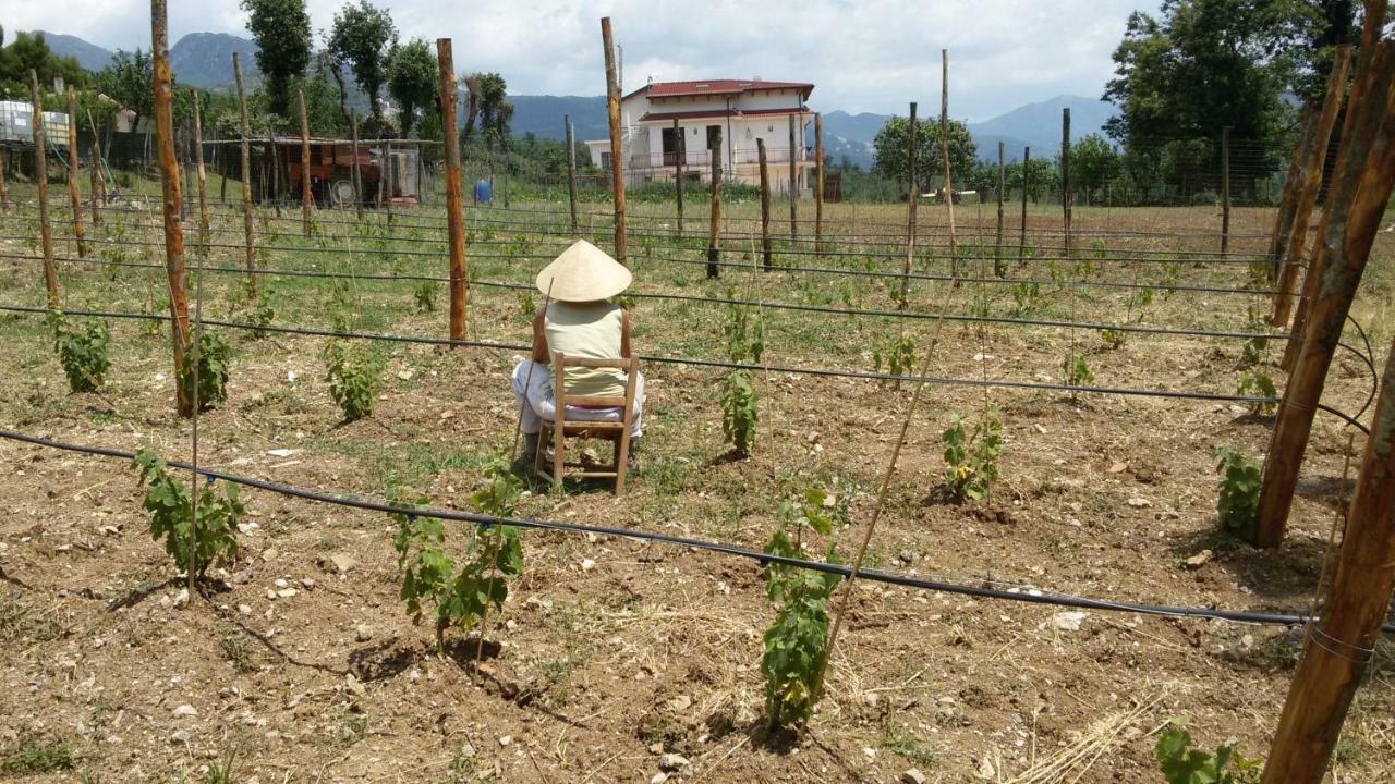 Bed and Breakfast L'Arcadia Giffoni Sei Casali Exterior foto